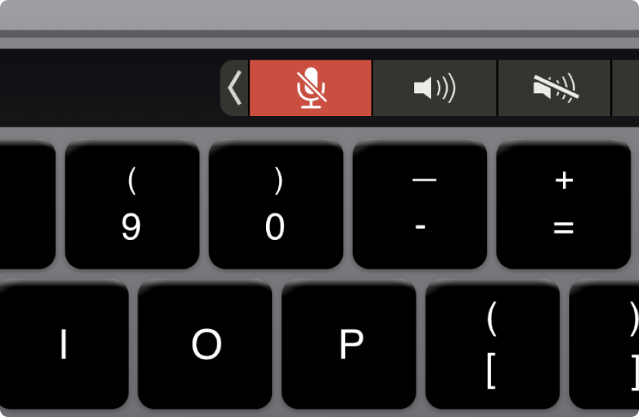 Image from the Macbook Touchbar with mute persistent mute icon